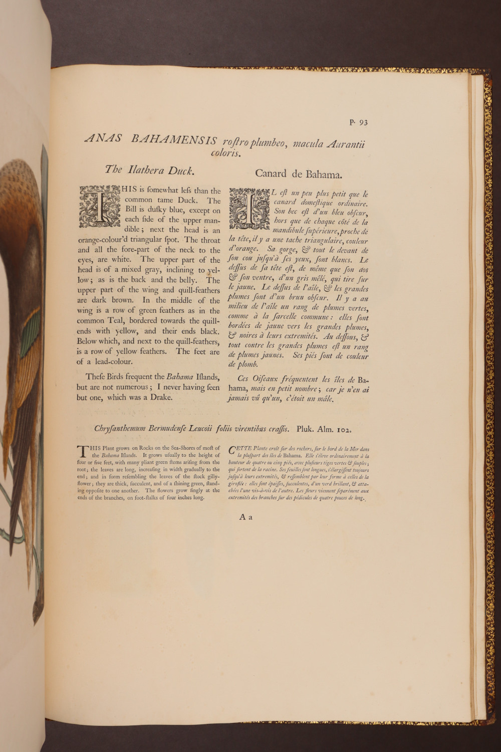 Page 93